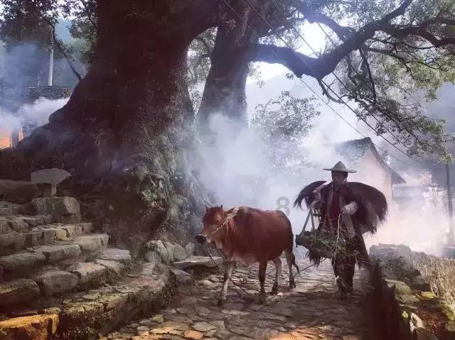 再次发声!马树山谈越级举报原因,称知道被陷害的滋味,无需赔偿